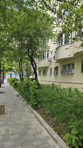Lacul Tei, Facultatea De Constructii, proprietar